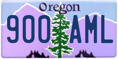 OR license plate 900AML