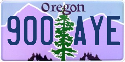 OR license plate 900AYE