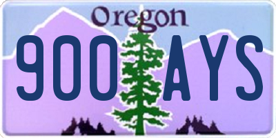 OR license plate 900AYS