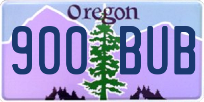 OR license plate 900BUB