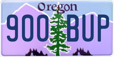 OR license plate 900BUP