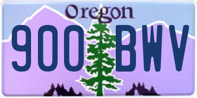 OR license plate 900BWV