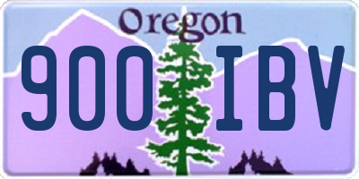 OR license plate 900IBV