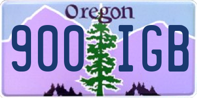 OR license plate 900IGB