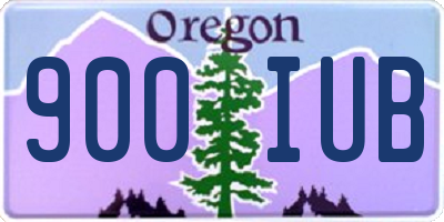OR license plate 900IUB