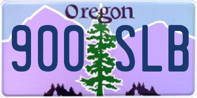 OR license plate 900SLB