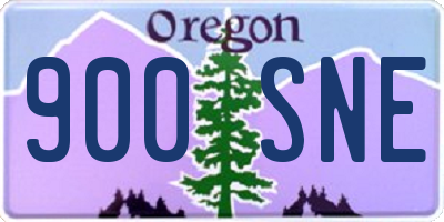 OR license plate 900SNE
