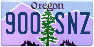 OR license plate 900SNZ