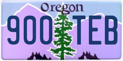 OR license plate 900TEB