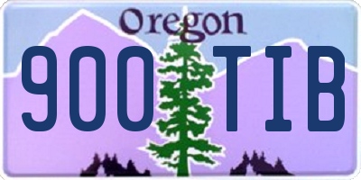 OR license plate 900TIB