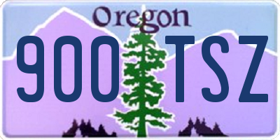 OR license plate 900TSZ