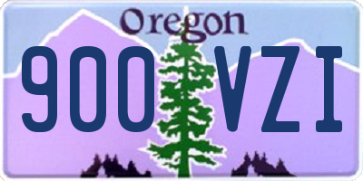 OR license plate 900VZI