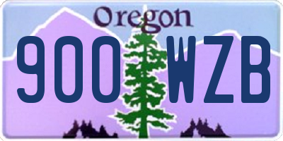 OR license plate 900WZB
