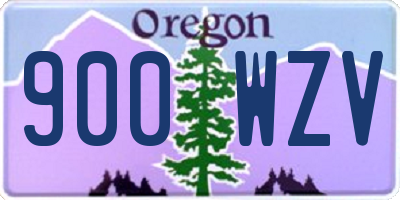 OR license plate 900WZV