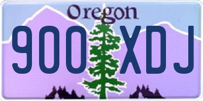 OR license plate 900XDJ