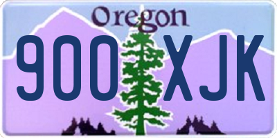 OR license plate 900XJK