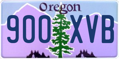 OR license plate 900XVB