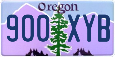 OR license plate 900XYB