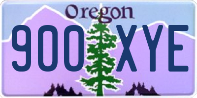 OR license plate 900XYE