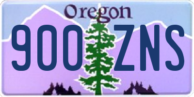 OR license plate 900ZNS