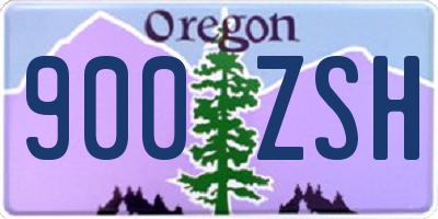 OR license plate 900ZSH