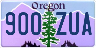 OR license plate 900ZUA