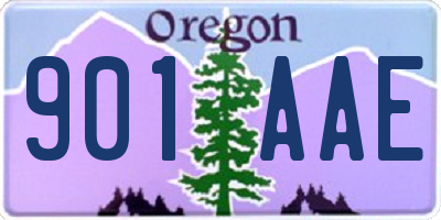 OR license plate 901AAE