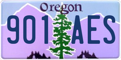 OR license plate 901AES