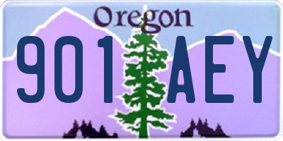 OR license plate 901AEY