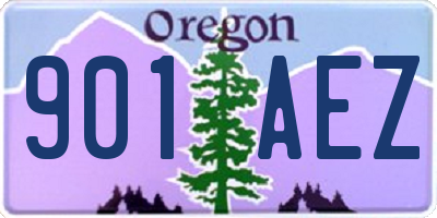 OR license plate 901AEZ