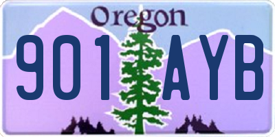 OR license plate 901AYB
