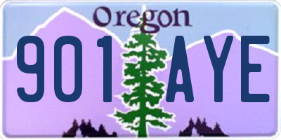 OR license plate 901AYE
