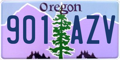 OR license plate 901AZV