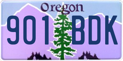 OR license plate 901BDK