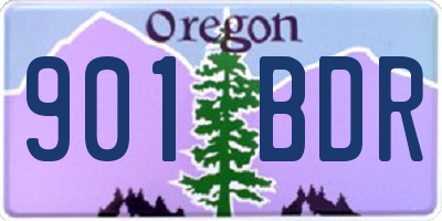 OR license plate 901BDR
