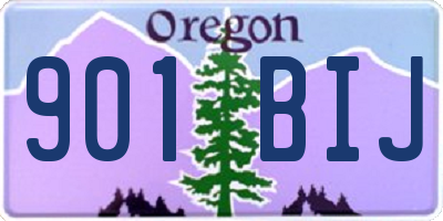 OR license plate 901BIJ