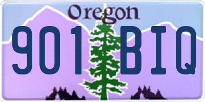 OR license plate 901BIQ