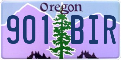 OR license plate 901BIR