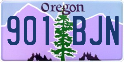 OR license plate 901BJN