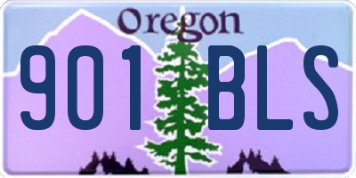 OR license plate 901BLS