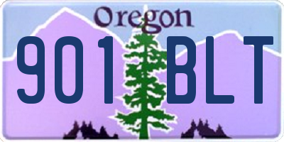 OR license plate 901BLT