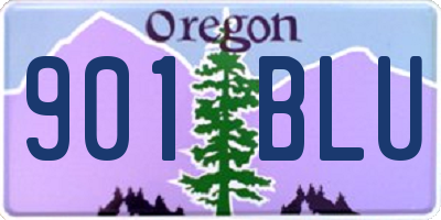 OR license plate 901BLU