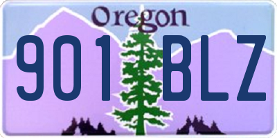 OR license plate 901BLZ