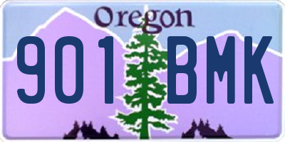 OR license plate 901BMK