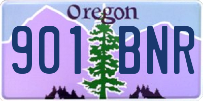 OR license plate 901BNR