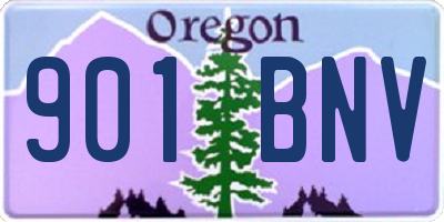 OR license plate 901BNV