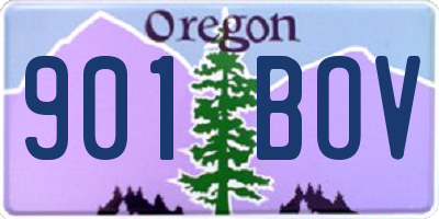 OR license plate 901BOV