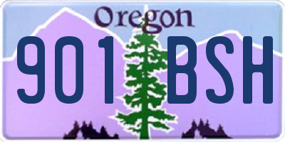 OR license plate 901BSH