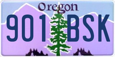 OR license plate 901BSK