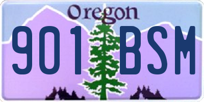 OR license plate 901BSM
